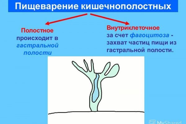 Кракен маркет что это такое