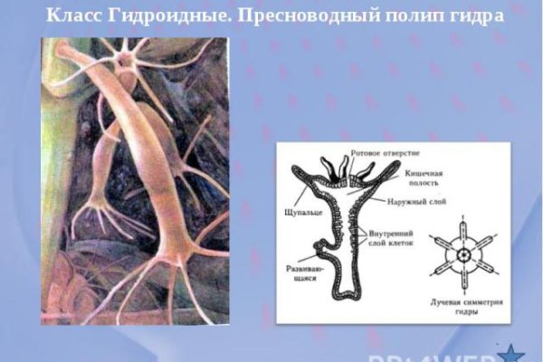 Кракен маркетплейс 2025