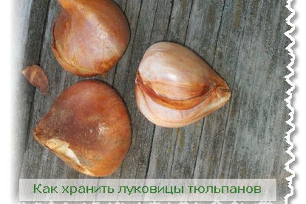 Картинка кракен маркетплейс