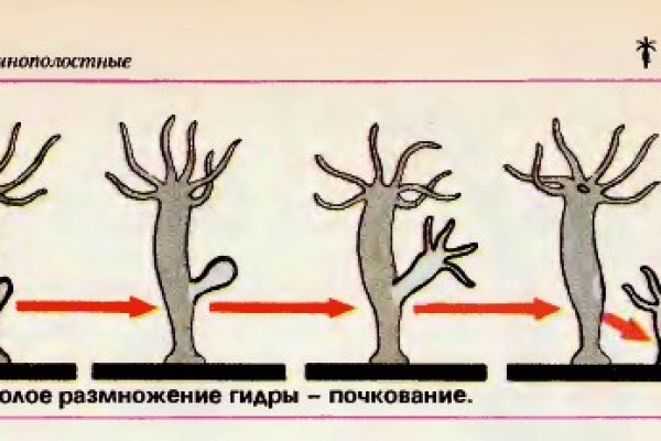 Не могу зайти на сайт кракен