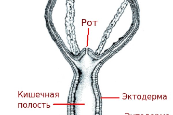 Можно вывести деньги с кракена