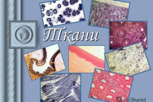 Кракен это даркнет