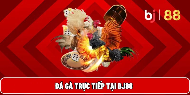 BJ88 – Nền Tảng Cá Cược Uy Tín Đa Dạng Dịch Vụ Giải Trí 7 Đá gà trực tiếp tại BJ88