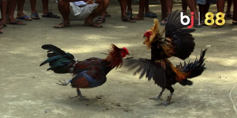 Thế đá vòng vòng